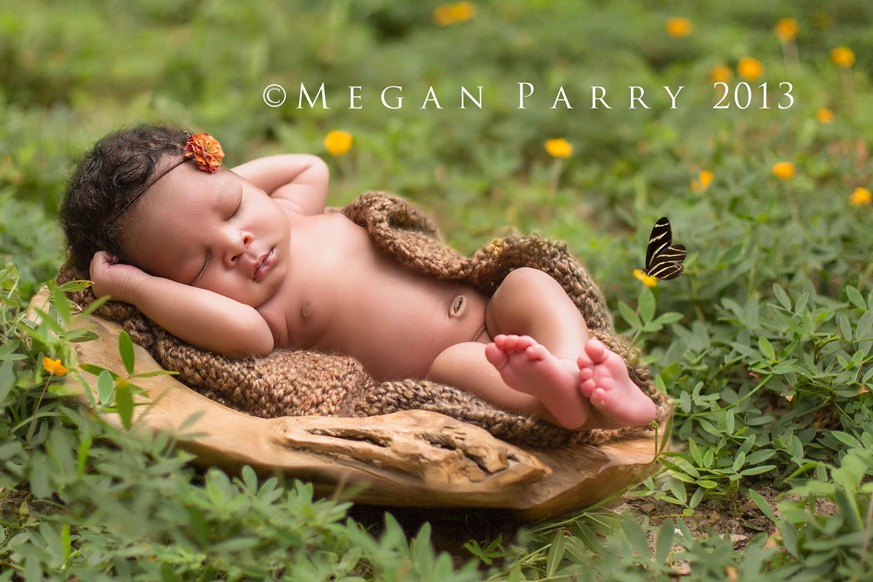 Newborn Photographers