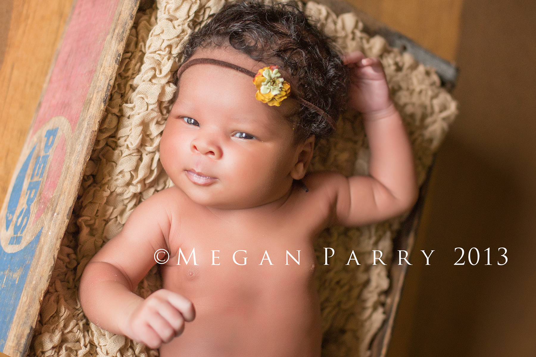 Marlee Clermont Florida Newborn Photographer