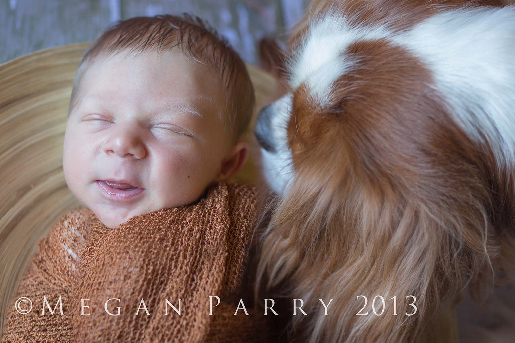 clermont,florida,newborn,baby,photographer