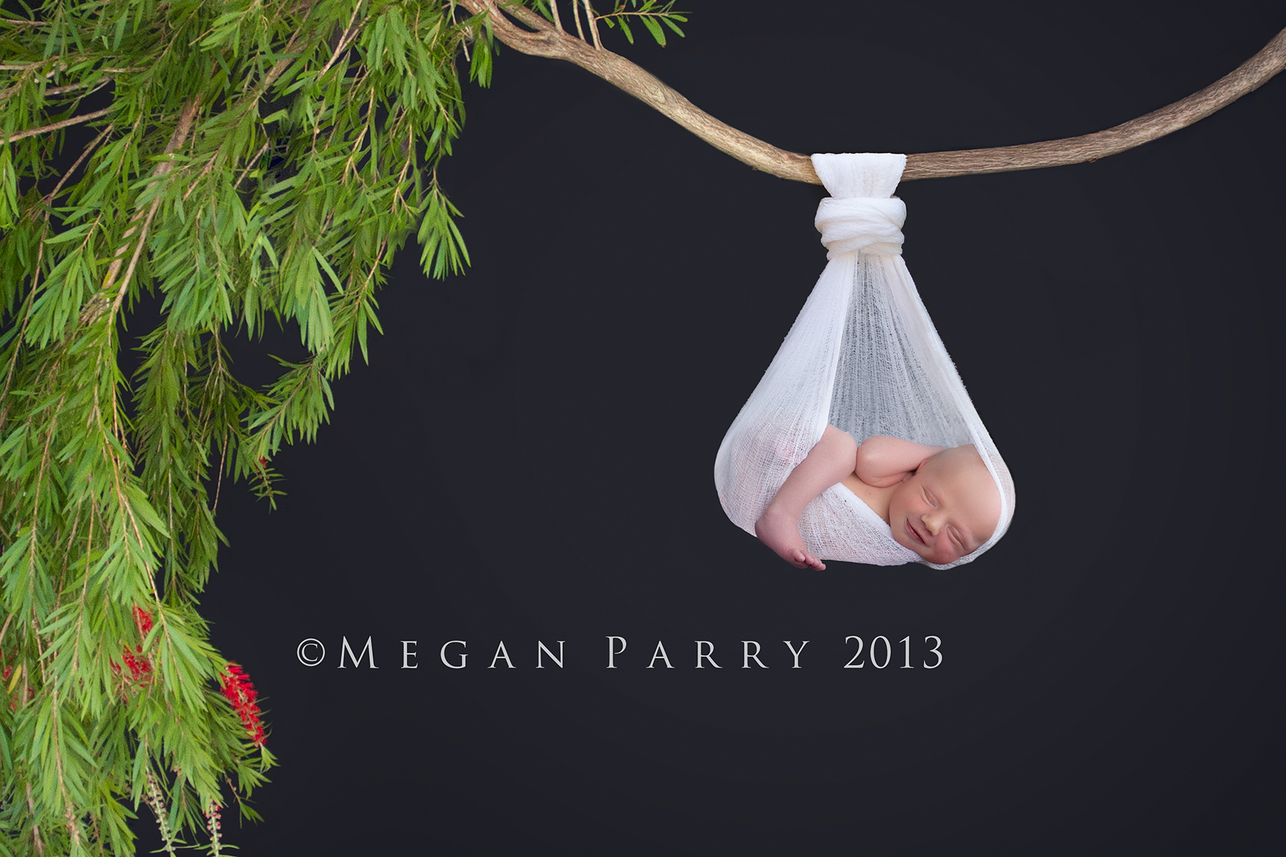 clermont,florida,newborn,baby,photography