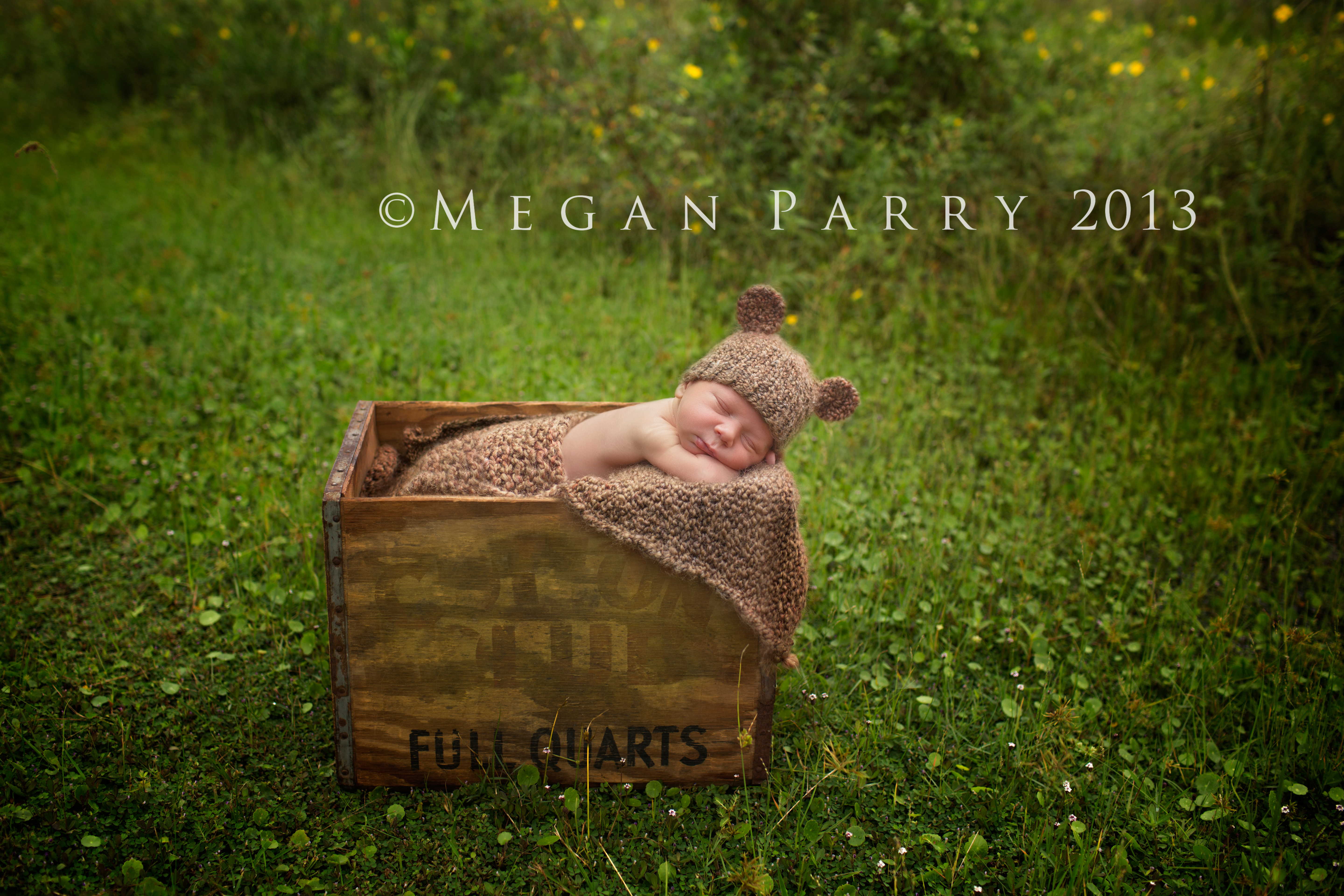 clermont,florida,newborn,photography